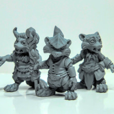 Picture of print of Racoon Folk Druids (pre supported) This print has been uploaded by Duncan Shadow