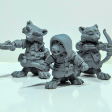 Picture of print of Racoon Folk Rogues (pre supported) This print has been uploaded by Duncan Shadow