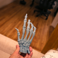 Picture of print of Bone Hand Free STL This print has been uploaded by Anders Beer