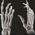 Bone Hand Free STL image