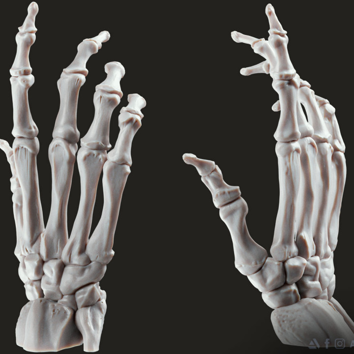 Bone Hand Free STL