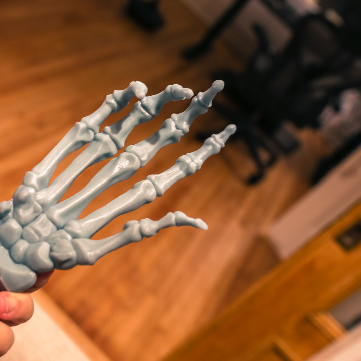 Impresión 3D de Bone Hand Free STL de MrWhiskey