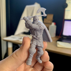 Picture of print of KICKSTARTER FREE ''VIking Warrior" Presupported 3D Model