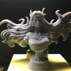 Picture of print of Elven Witch - Bust