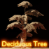 Deciduous Tree image