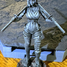 Picture of print of Girl with Katanas normal and variant 2