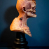 The Monster bust image