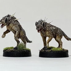 Picture of print of Pit Fighters Quillhounds