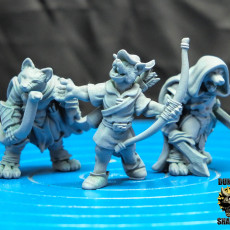 Picture of print of Kitsune Fox Folk Rangers (pre supported)