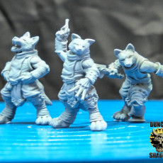Picture of print of Kitsune Fox folk Rogues (pre supported) This print has been uploaded by Duncan Shadow