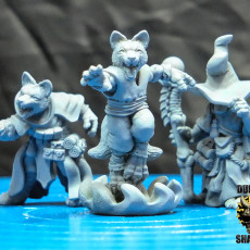 Picture of print of Kitsune Fox Folk Sorcerers (pre supported)