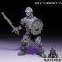 Skeletal Army - Sword and Shield - Standing image