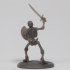 Skeleton - Sword and Shield image