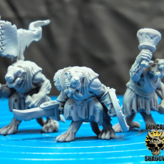 Picture of print of Rat Folk Command (pre supported)