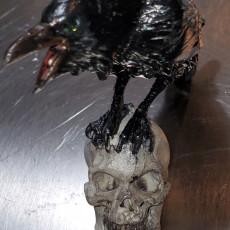 Picture of print of Raven Skull - Miniature
