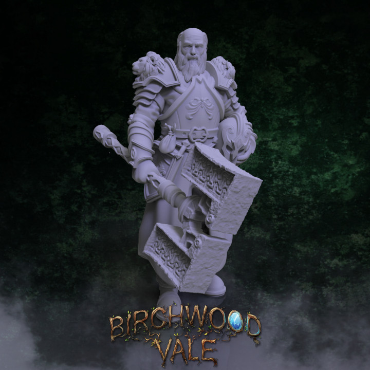 Birchwood Vale Heroes Uther's Cover