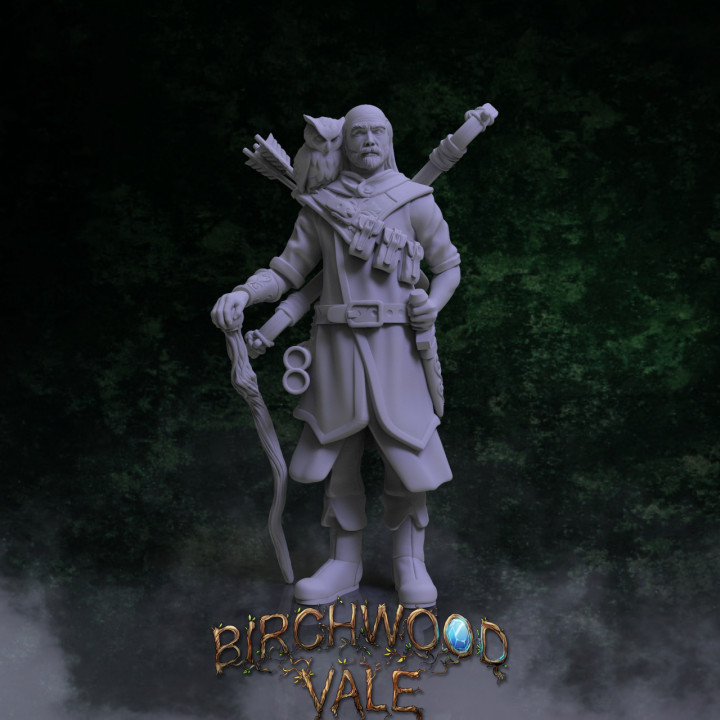 Birchwood Vale Heroes Alatare's Cover