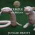 2 Temple beasts, Jungle Cat and Giant Snake image