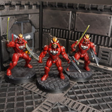 Picture of print of RENKAKU RED INFANTRY - A