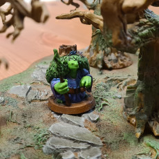 Picture of print of Tortle Druid Miniature - Pre-Supported