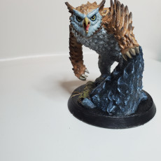 Picture of print of Owl Beast (Pre-Supported) This print has been uploaded by Andreanne Tremblay