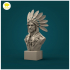 Native American Bust image
