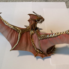 Picture of print of Gold dragon