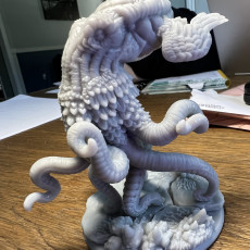 Picture of print of flying octopus (Pre Supported)