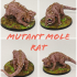 Mole Rats print image