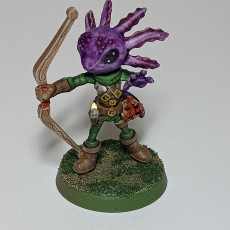 Picture of print of Axolotl Ranger (pre-supported included)