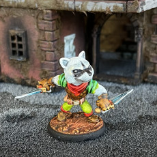 Picture of print of Raccoon Rogue (pre-supported)
