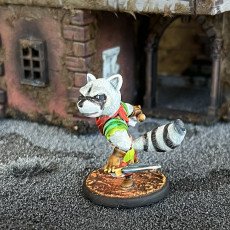 Picture of print of Raccoon Rogue (pre-supported)