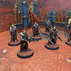 Picture of print of Lunar Auxilia Command Section - Presupported