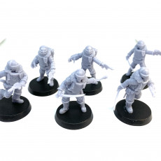 Picture of print of Lunar Auxilia Extra Officers - Presupported