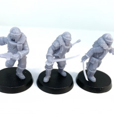 Picture of print of Lunar Auxilia Extra Officers - Presupported