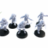 Lunar Auxilia Extra Officers - Presupported print image
