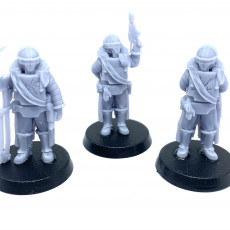 Picture of print of Lunar Auxilia Political Enforcers - Presupported