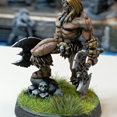 Picture of print of (0017) Male human half-orc barbarian with swords and axes