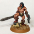 (0017) Male human half-orc barbarian with swords and axes image