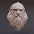 Dwarf Trophy Head image