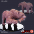Grizzly Bear Set / Wild Animal / Black Forest Encounter / Brown Polar image