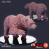 Grizzly Bear Set / Wild Animal / Black Forest Encounter / Brown Polar image