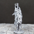Wrath of the Lich Bundle - Tabletop Miniatures (Pre-Supported) image