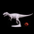 Allosaurus 3 poses mounted image