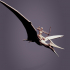 Pterodactylus 3 poses mounted image
