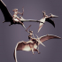 Pterodactylus 3 poses mounted image