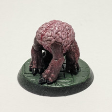 Picture of print of Intellect Crawler Sitting / Mind Devourer / Brain Creeper / Psionic Encounter