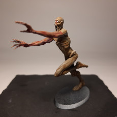 Picture of print of Cryptid & Skin Walkers - 10 Models with stats and illustrations - Pre supported