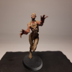 Picture of print of Cryptid & Skin Walkers - 10 Models with stats and illustrations - Pre supported
