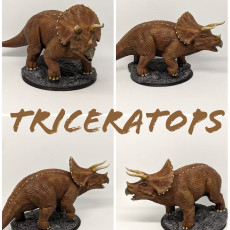 Picture of print of Triceratops